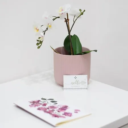 Solli Отель типа 